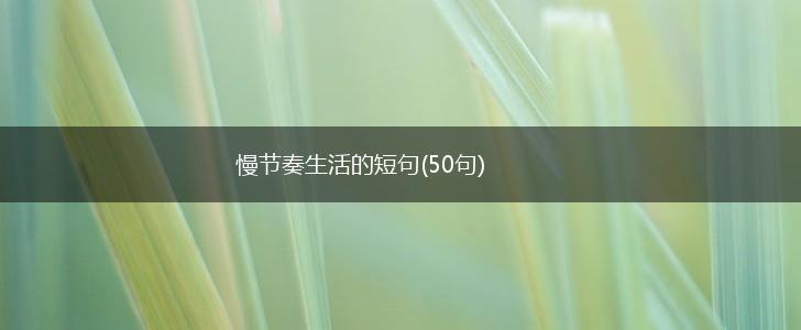 慢节奏生活的短句(50句),第1张