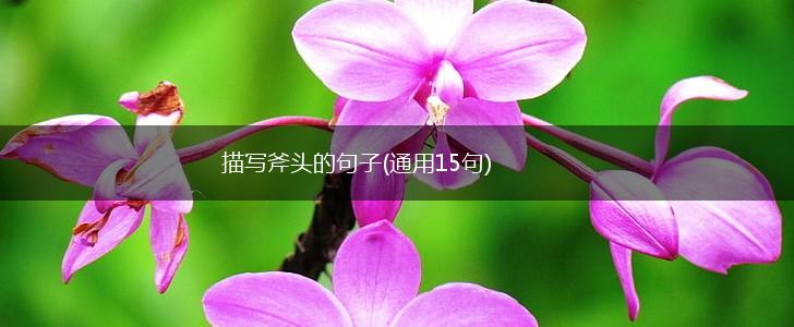 描写斧头的句子(通用15句),第1张