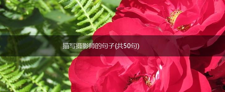 描写摄影师的句子(共50句),第1张