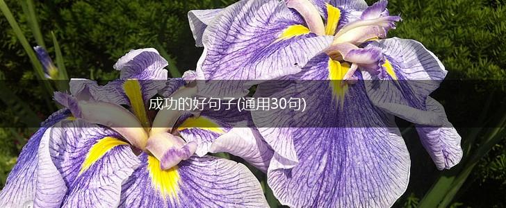 成功的好句子(通用30句),第1张