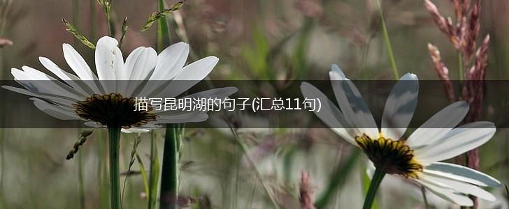 描写昆明湖的句子(汇总11句),第1张