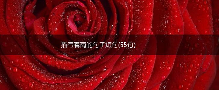 描写春雨的句子短句(55句),第1张 描写春雨的句子短句(55句),第1张