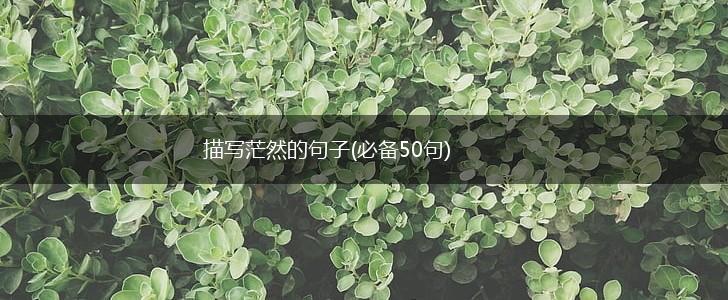 描写茫然的句子(必备50句),第1张