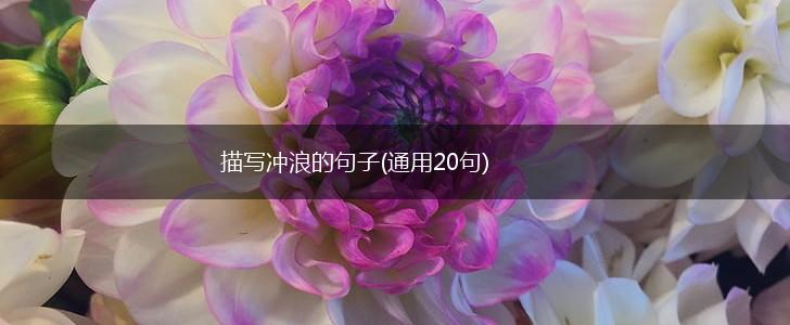 描写冲浪的句子(通用20句),第1张