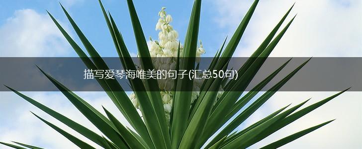 描写爱琴海唯美的句子(汇总50句),第1张