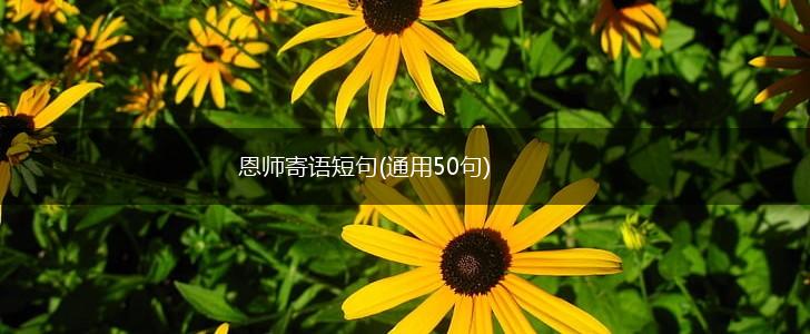 恩师寄语短句(通用50句),第1张