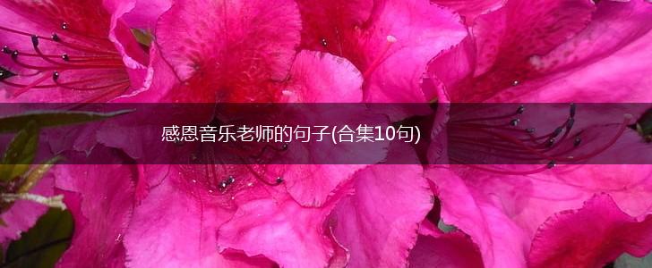 感恩音乐老师的句子(合集10句),第1张