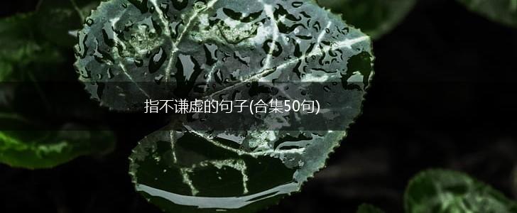 指不谦虚的句子(合集50句),第1张