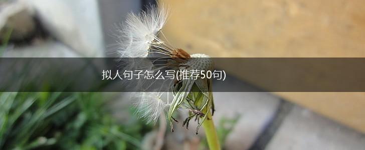 拟人句子怎么写(推荐50句),第1张 拟人句子怎么写(推荐50句),第1张