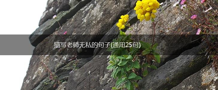 描写老师无私的句子(通用25句),第1张
