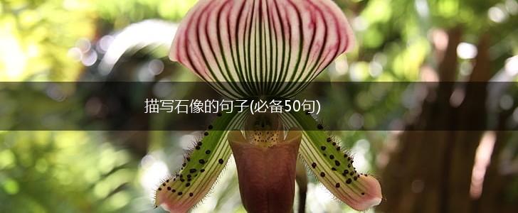 描写石像的句子(必备50句),第1张