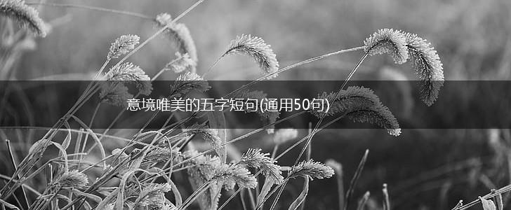 意境唯美的五字短句(通用50句),第1张