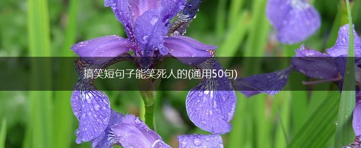 搞笑短句子能笑死人的(通用50句),第1张