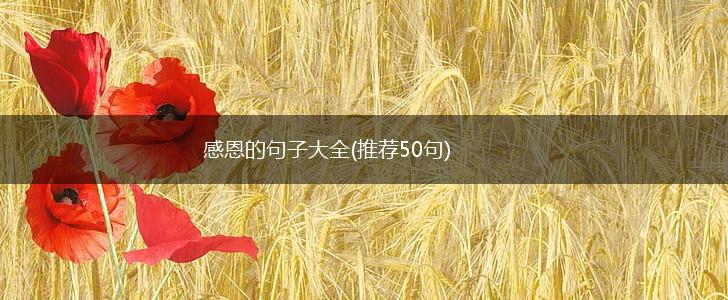 感恩的句子大全(推荐50句),第1张
