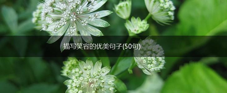 描写笑容的优美句子(50句),第1张