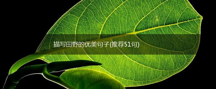 描写田野的优美句子(推荐51句),第1张
