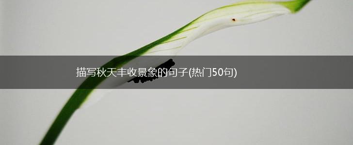 描写秋天丰收景象的句子(热门50句),第1张