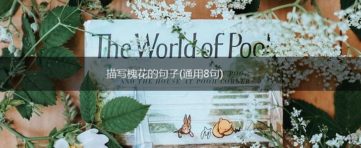 描写槐花的句子(通用8句),第1张