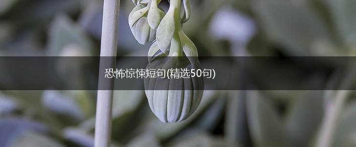 恐怖惊悚短句(精选50句),第1张 恐怖惊悚短句(精选50句),第1张