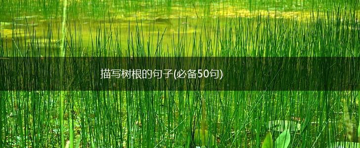 描写树根的句子(必备50句),第1张