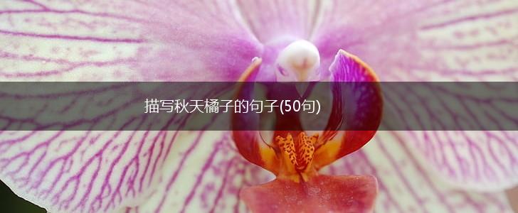 描写秋天橘子的句子(50句),第1张