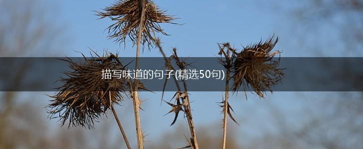 描写味道的句子(精选50句),第1张 描写味道的句子(精选50句),第1张