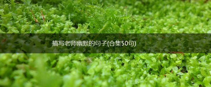 描写老师幽默的句子(合集50句),第1张