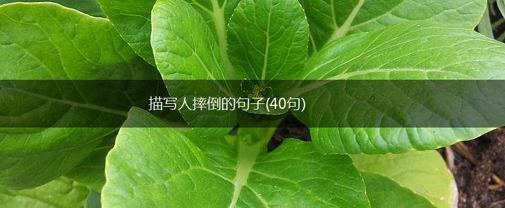 描写人摔倒的句子(40句),第1张