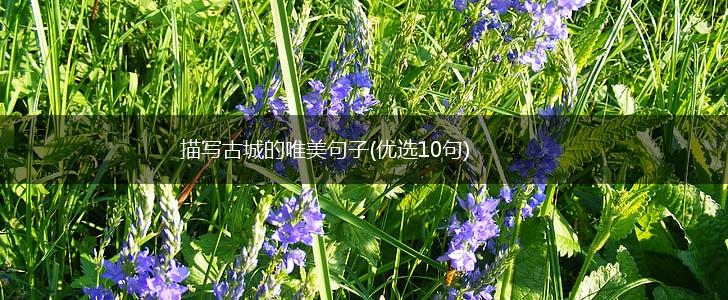 描写古城的唯美句子(优选10句),第1张