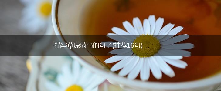 描写草原骑马的句子(推荐16句),第1张