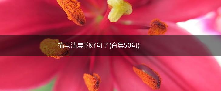 描写清晨的好句子(合集50句),第1张