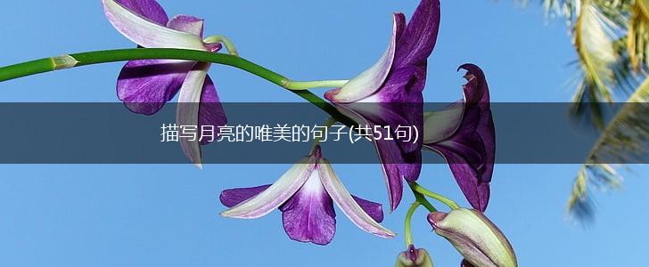 描写月亮的唯美的句子(共51句),第1张 描写月亮的唯美的句子(共51句),第1张