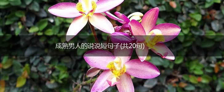 成熟男人的说说短句子(共20句),第1张 成熟男人的说说短句子(共20句),第1张