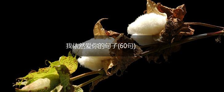 我依然爱你的句子(60句),第1张 我依然爱你的句子(60句),第1张