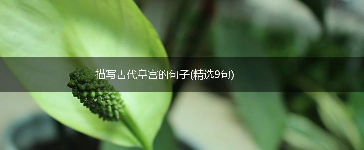 描写古代皇宫的句子(精选9句),第1张