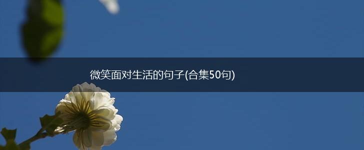 微笑面对生活的句子(合集50句),第1张
