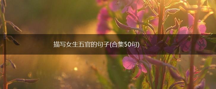 描写女生五官的句子(合集50句),第1张