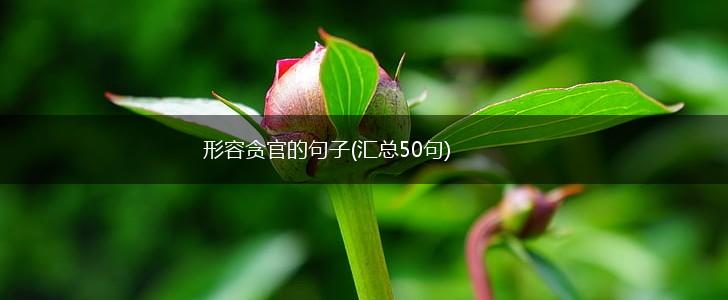 形容贪官的句子(汇总50句),第1张