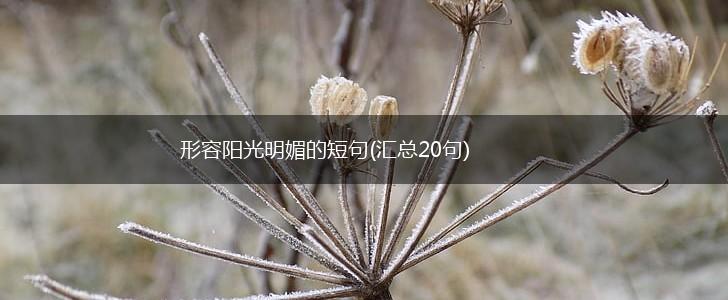 形容阳光明媚的短句(汇总20句),第1张