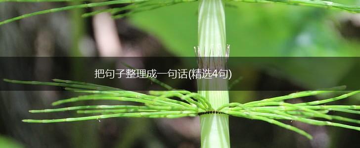 把句子整理成一句话(精选4句),第1张 把句子整理成一句话(精选4句),第1张