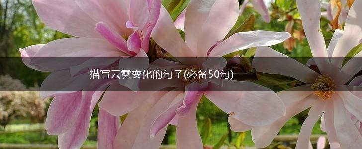 描写云雾变化的句子(必备50句),第1张