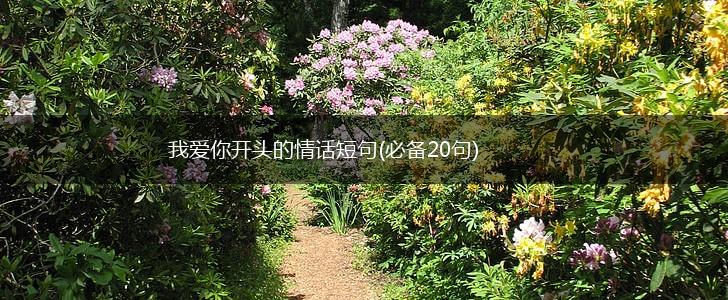 我爱你开头的情话短句(必备20句),第1张
