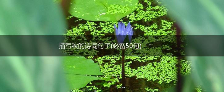 描写秋的诗词句子(必备50句),第1张