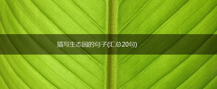 描写生态园的句子(汇总20句),第1张