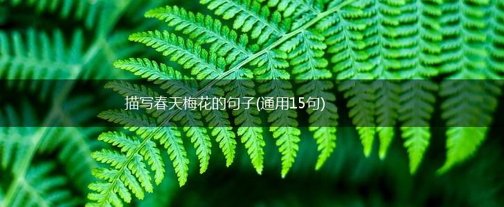 描写春天梅花的句子(通用15句),第1张 描写春天梅花的句子(通用15句),第1张