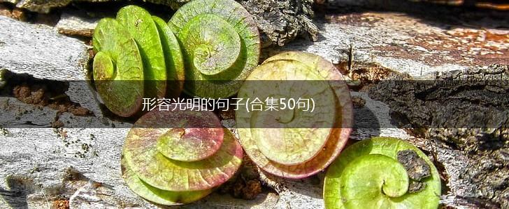 形容光明的句子(合集50句),第1张