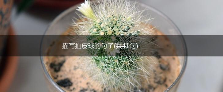 描写拍皮球的句子(共41句),第1张