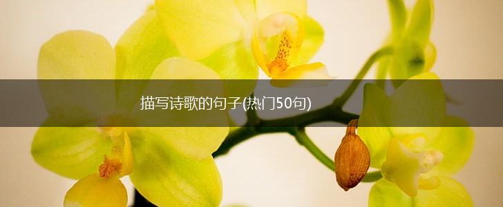 描写诗歌的句子(热门50句),第1张 描写诗歌的句子(热门50句),第1张