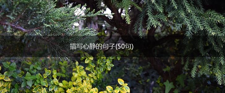 描写心静的句子(50句),第1张