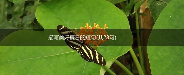 描写美好夏日的短句(共23句),第1张